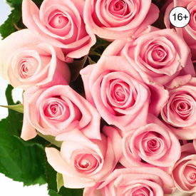 �� ���� ����!