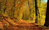 � ������������� ������� ����� ����������� �� ��������� �����