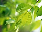 � ������������� ������� ��������� ����� ��������������� �������������� �������
