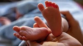 � ������� ���������� ����������� ����������� ������� �� ���������� �������