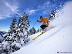 ���� ����� � ������ ����� ��������� ����������� �������� � ������