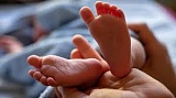 � ������� ���������� ����������� ����������� ������� �� ���������� �������